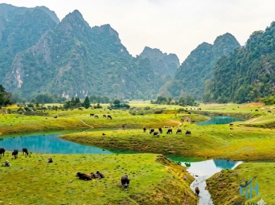 HÀNH TRÌNH KHÁM PHÁ MẪU SƠN – THẢO NGUYÊN ĐỒNG LÂM – SUỐI MỎ MẮM