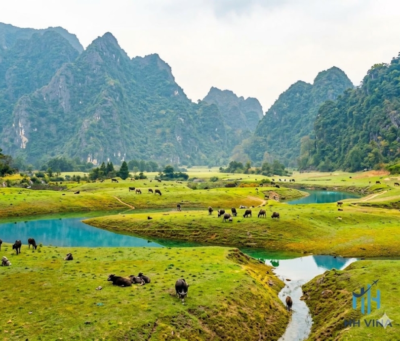 HÀNH TRÌNH KHÁM PHÁ MẪU SƠN – THẢO NGUYÊN ĐỒNG LÂM – SUỐI MỎ MẮM